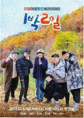 一起去露营吧 桃花视频免费追剧